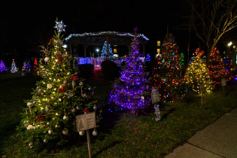 Memorial Park, Oakfield  Photo by Steve Ognibene