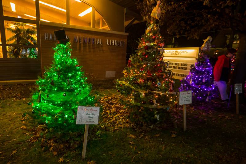 oakfield christmas tree lighting