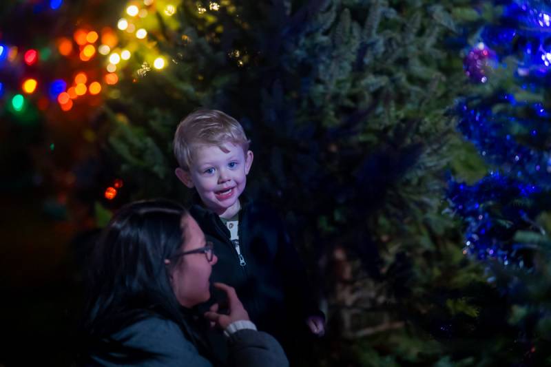 oakfield christmas tree lighting