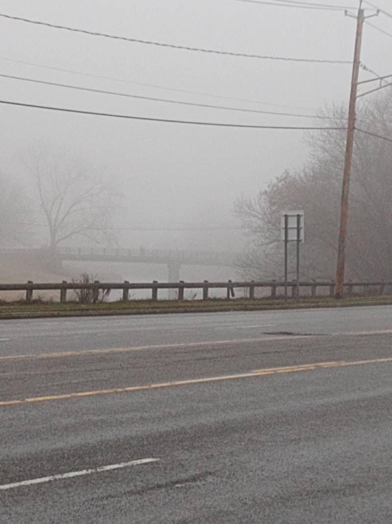 River Street fog