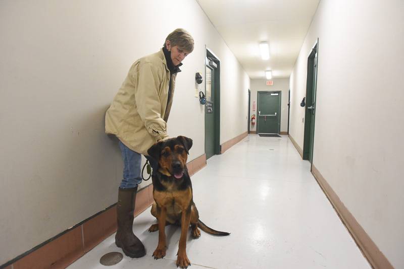 File Photo of a volunteer and occupant at Genesee County Animal Shelter.