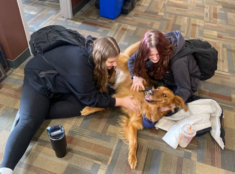 bb-therapy-dog-daisy-with-students.JPEG