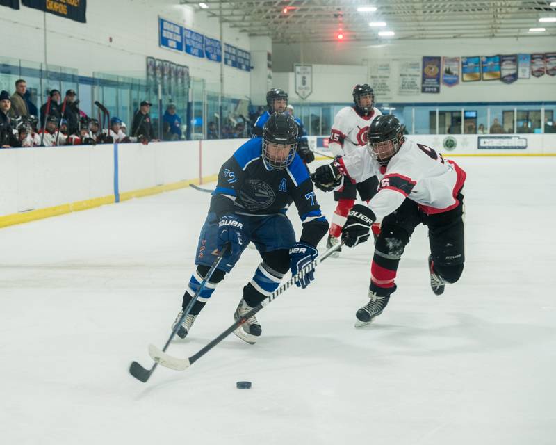 batavia police vs. fire hockey