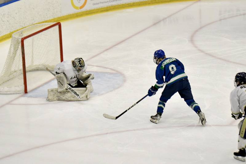 batavia notre dame united hockey state semifinals