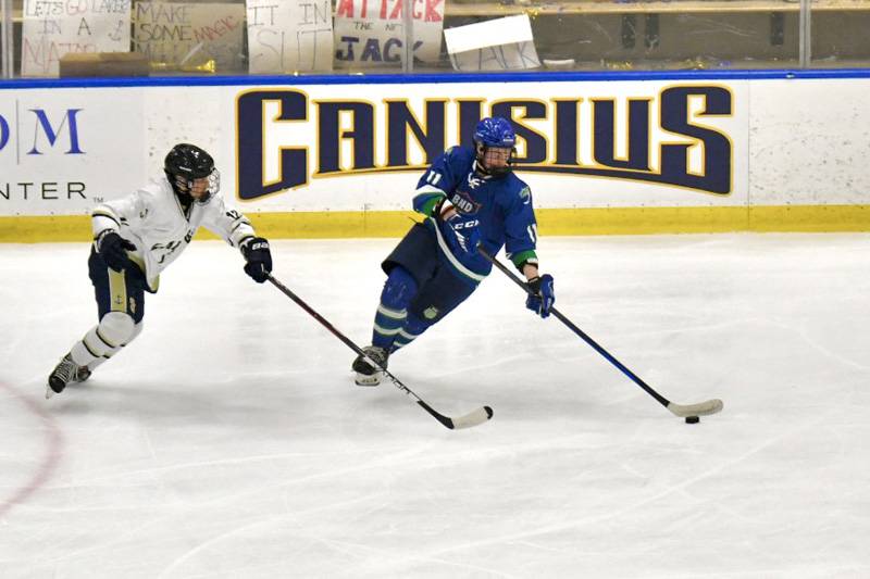 batavia notre dame united hockey state semifinals