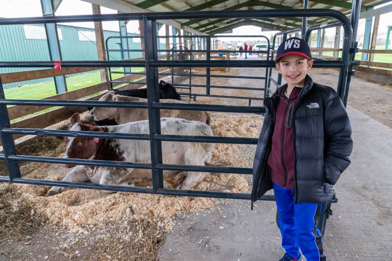 A petting zoo was on hand for many to enjoy.  Photo by Steve Ognibene