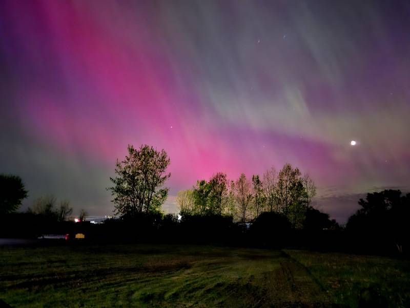 northern lights frank capuano