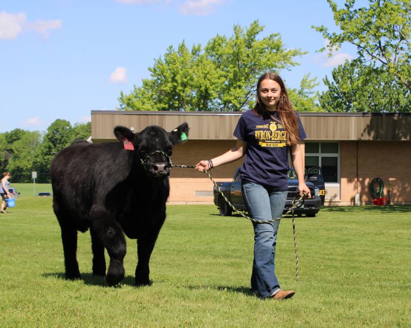 bb-farm-day_student-with-cow.jpg