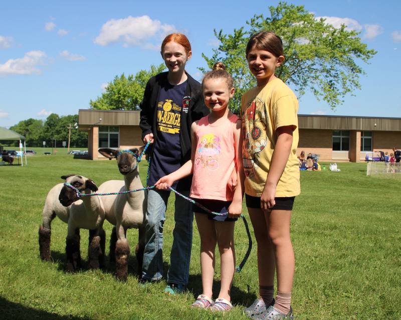 bb-farm-day_students-with-sheep.jpg