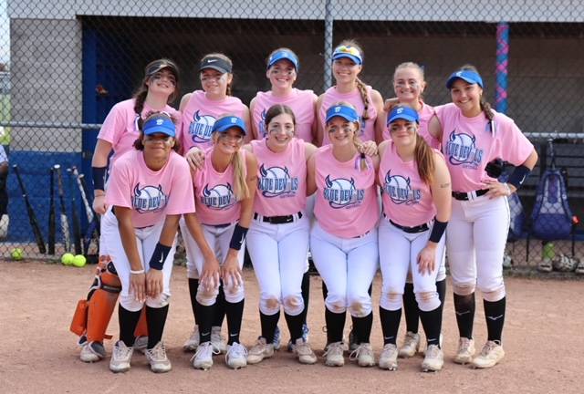 batavia softball pink game