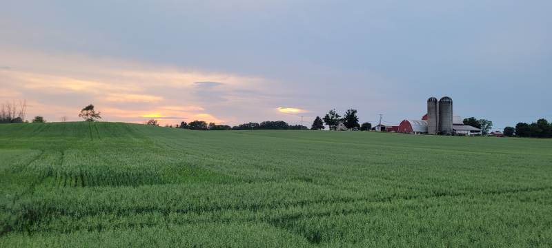 pembroke sunset
