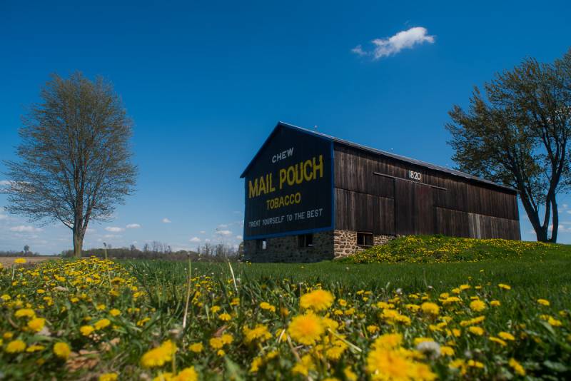 mail pouch barn le roy