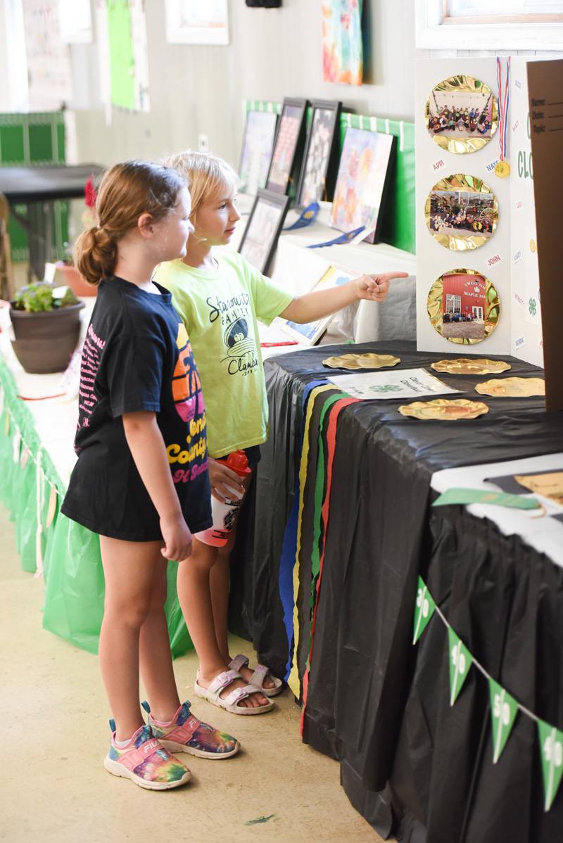 arts and crafts genesee county fair