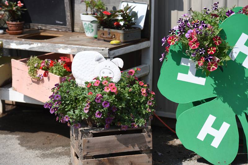 arts and crafts genesee county fair