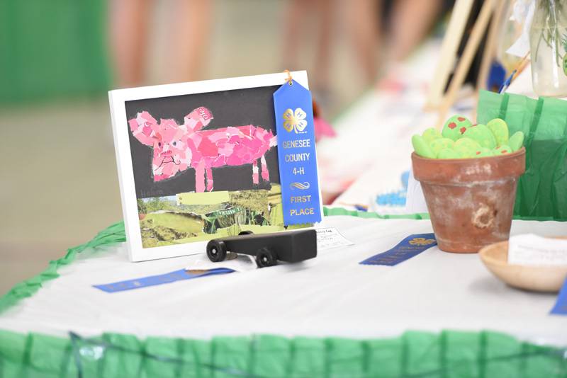 arts and crafts genesee county fair