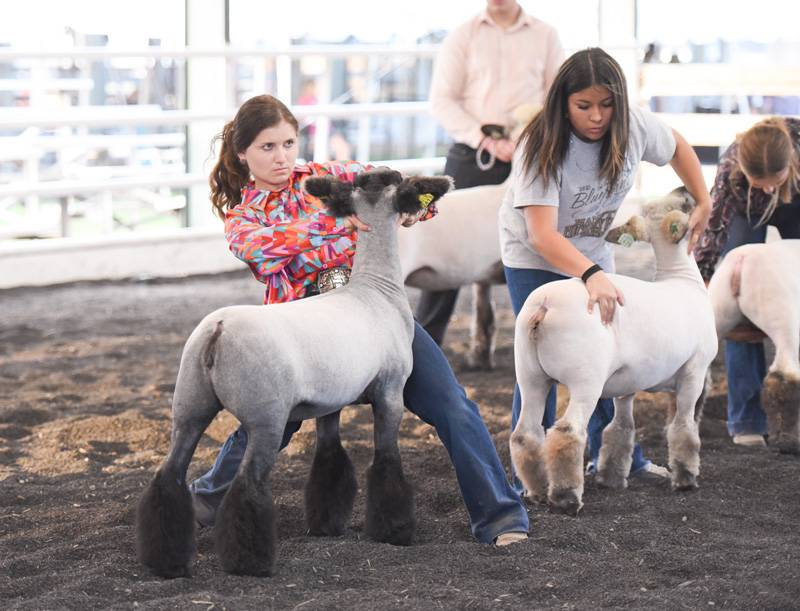 genesee county fair saturday