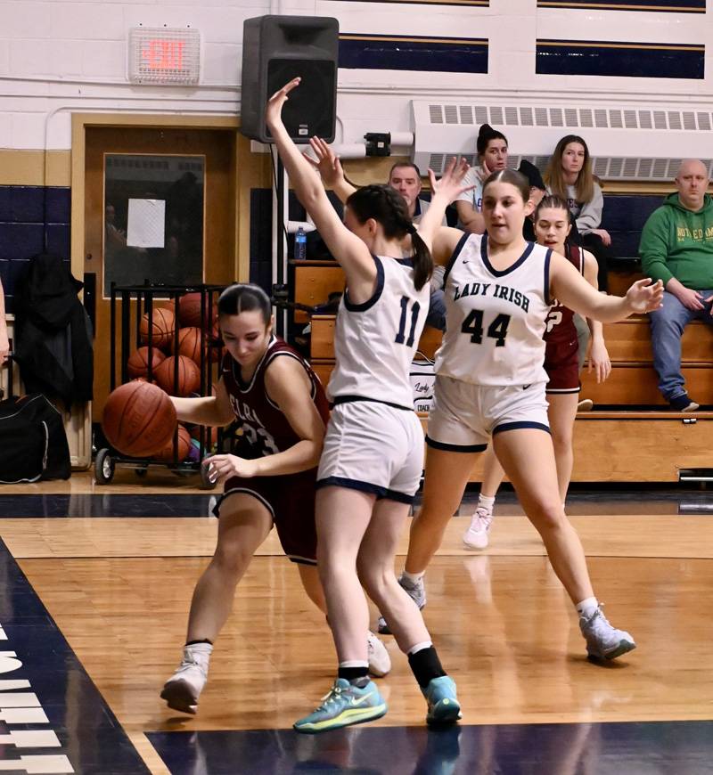 elba notre dame basketball