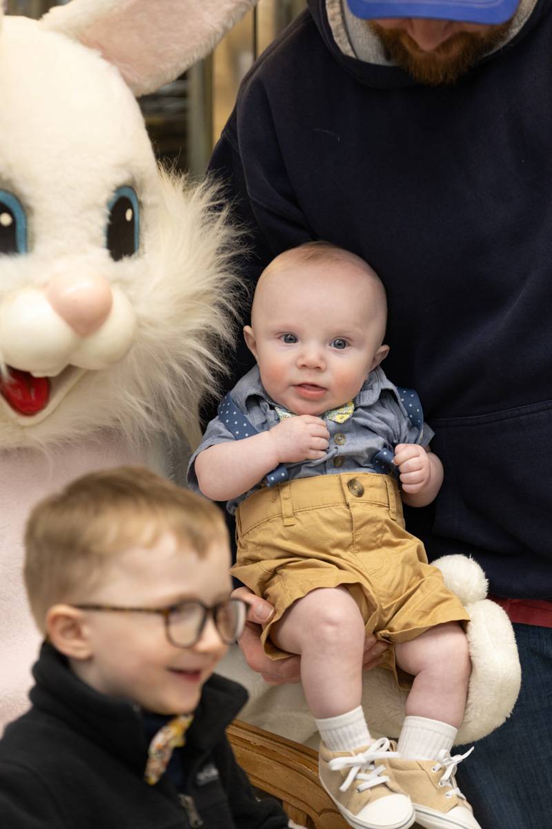 bunny at oliver's