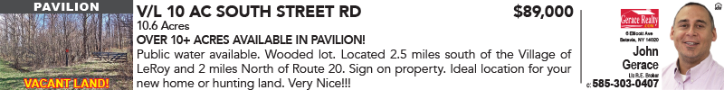 gerace-vl-10-ac-south-street-rd-b1597829-batavian.png