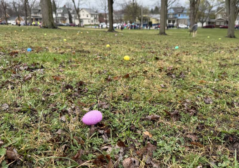 Kiwanis easter egg hunt 2025