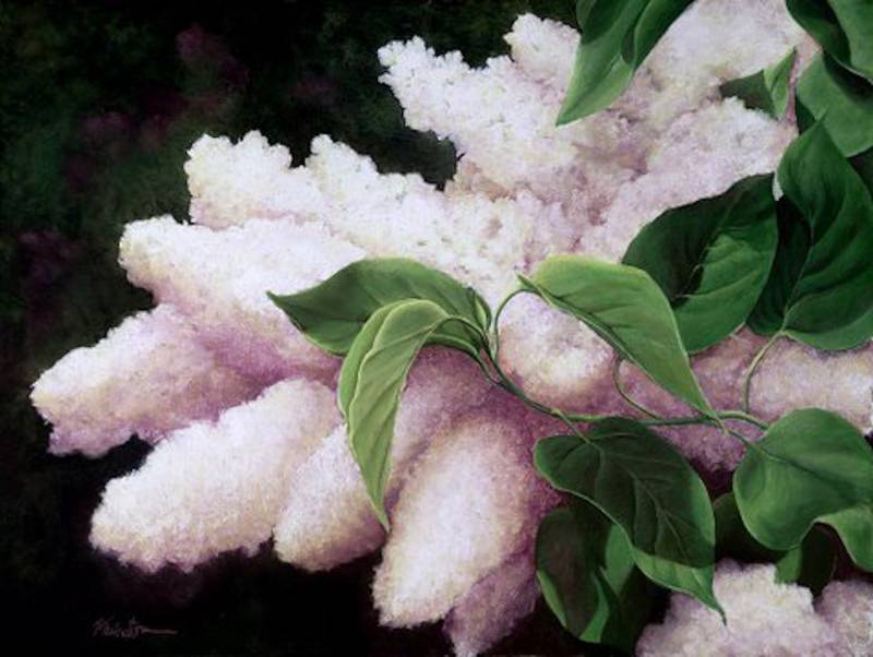 pat-floral03.jpg