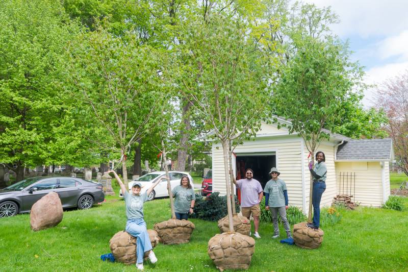 day of caring