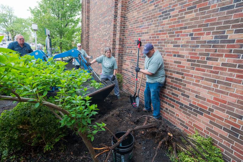 day of caring