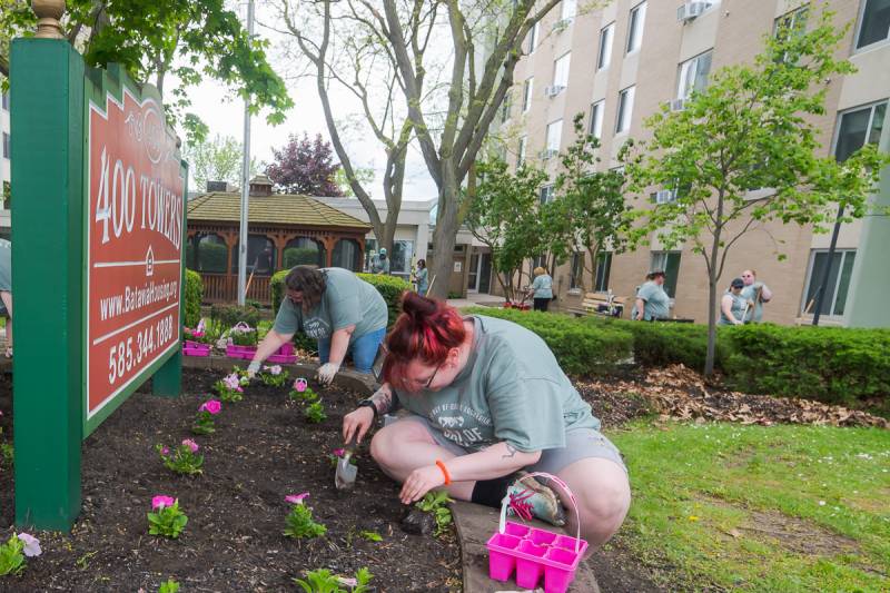 day of caring