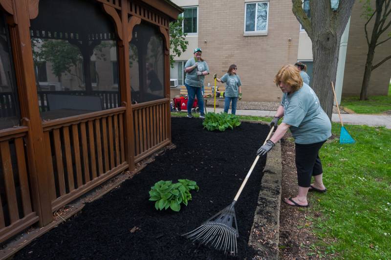 day of caring