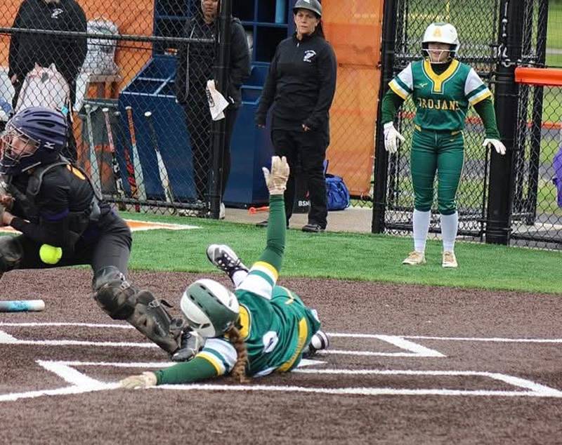 alexander softball