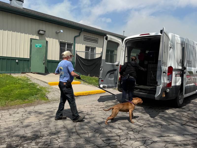 Animals evacuated at Hodgins fire