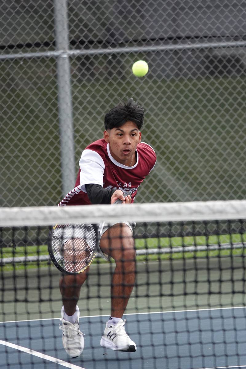 bees tennis
