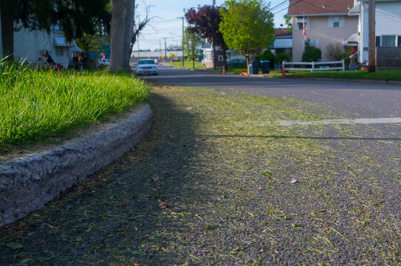 grass clippings on evans street