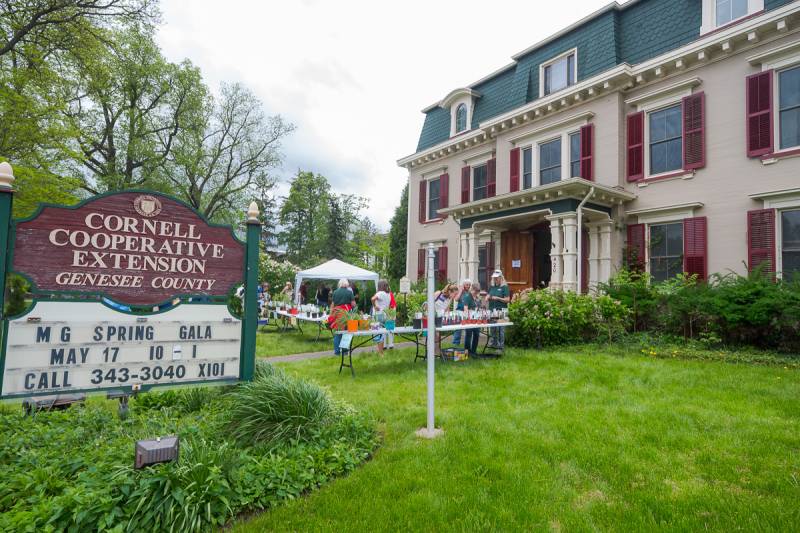 master gardeners spring gala