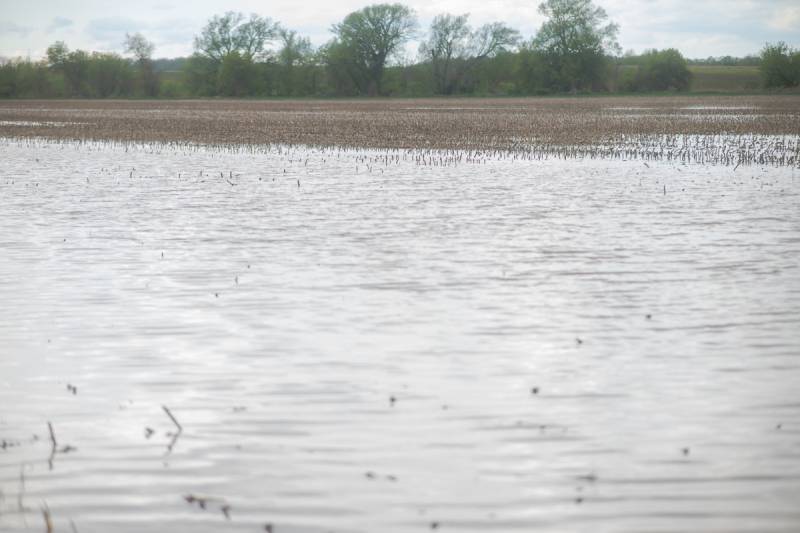 peaviner road flooding alexander