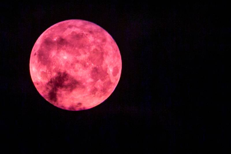 June's Strawberry Moon Photo by Steve Ognibene