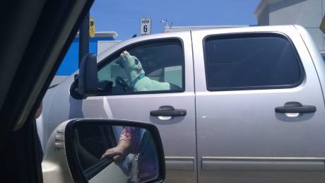Animal Control officer busy today with dogs locked inside hot vehicles