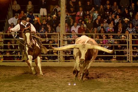 attica_rodeo_saturday_night-10.jpg