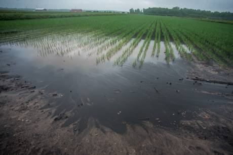 floodedmuckjune12015.jpg