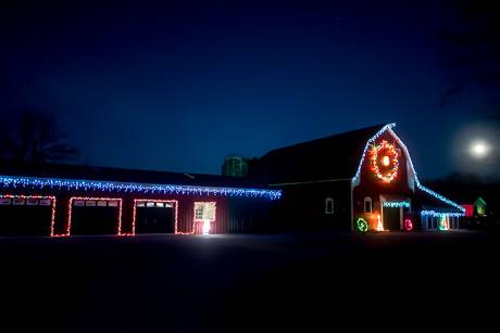 chrstmaslights2015-5.jpg