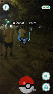 pokemonzubat.png