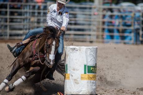 atticarodeoaug72016-3.jpg