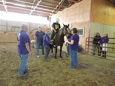 purple_pony_bergen_retirees_005.jpg