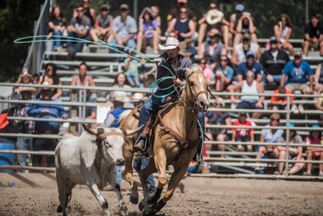 atticarodeo2018-2.jpg