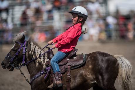 atticarodeo2018-9.jpg