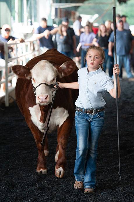 fairday3-13_websize.jpg