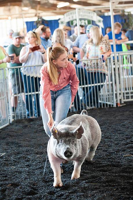 fairday3-28_websize.jpg