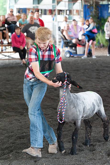 fairday7-41_websize.jpg