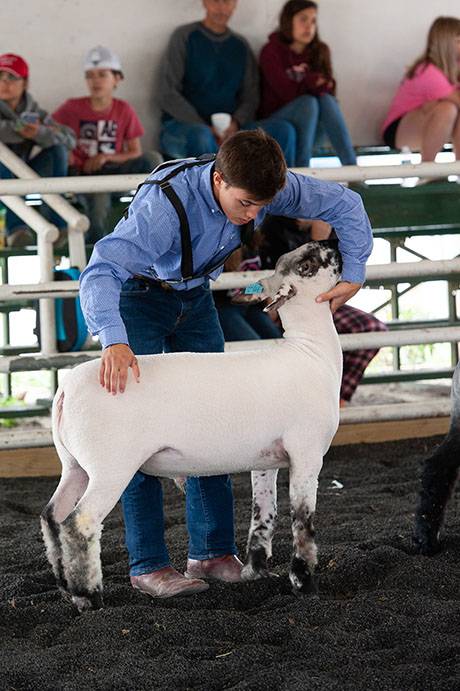 fairday7-43_websize.jpg