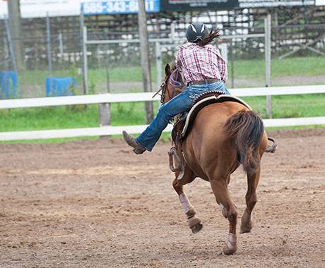 horsecomp-28_websize.jpg